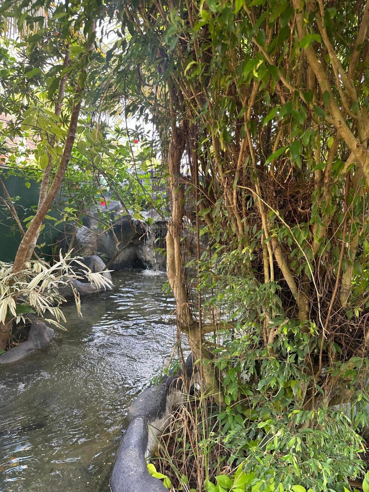 Aliya Lanka Hotell Beruwala Exteriör bild