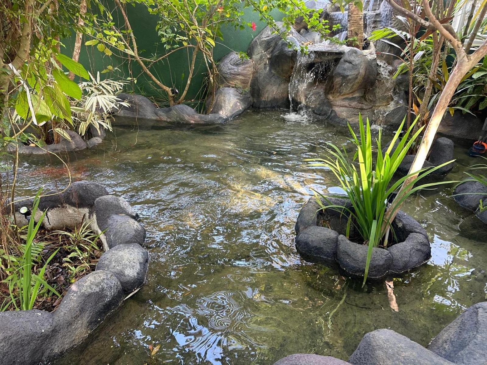 Aliya Lanka Hotell Beruwala Exteriör bild
