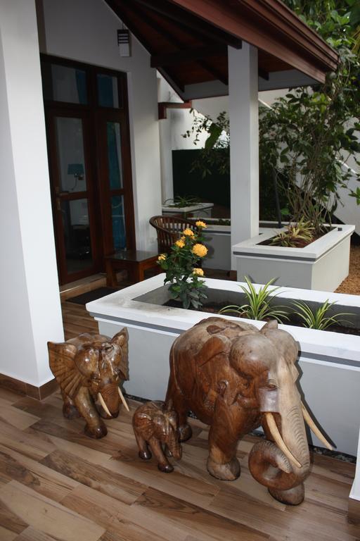 Aliya Lanka Hotell Beruwala Exteriör bild