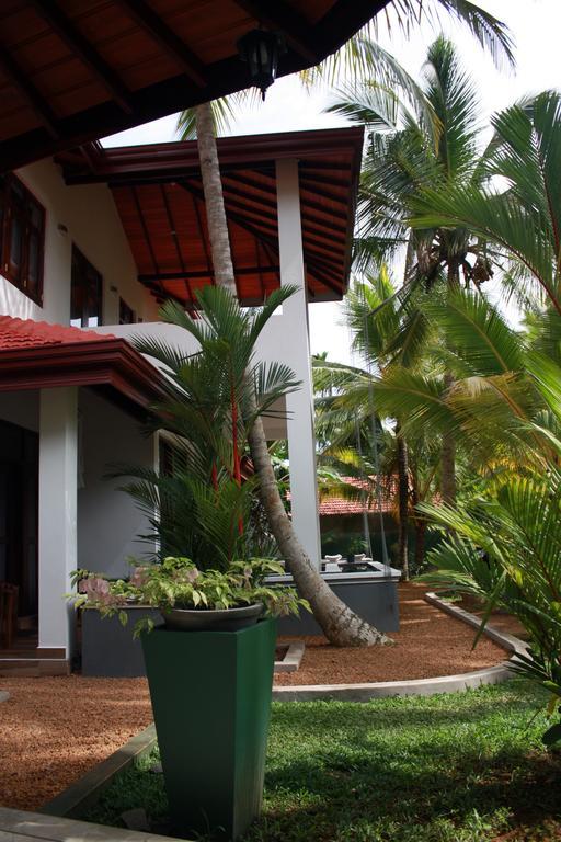 Aliya Lanka Hotell Beruwala Exteriör bild